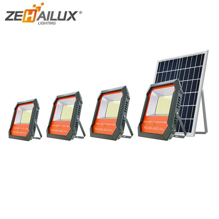 Solar Outdoor Flood Lights With Remote.jpg